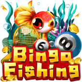 Bingo Fishing at playtime login