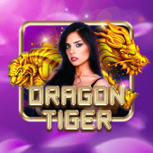 Dragon Tiger at playtime login