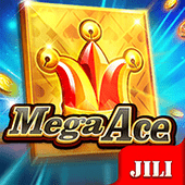 Mega Ace at playtime login