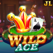 Wild Ace slot at playtime login